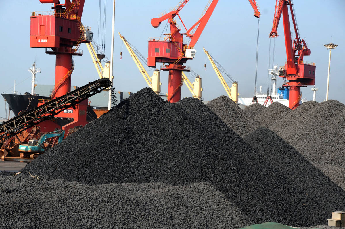 China Coal Daily Track (Nov 13)