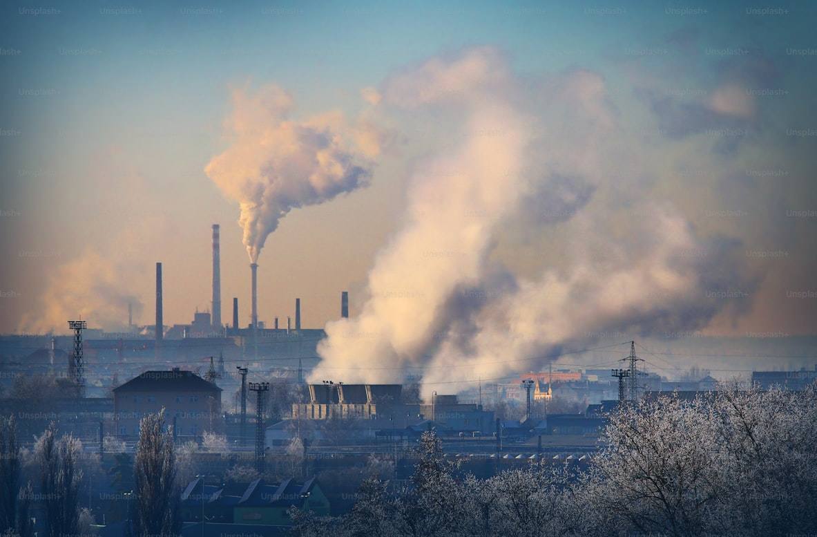 COP29 nations approve new rules for global carbon markets